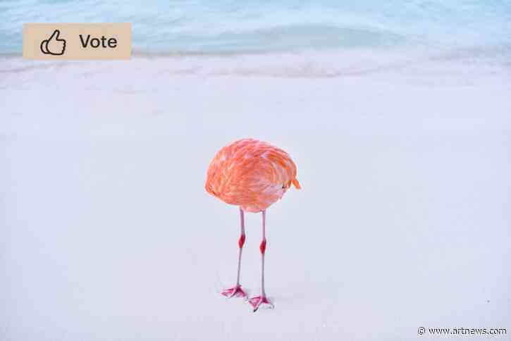 Photographer Wins AI Image Contest with Real Picture, Then Gets Disqualified