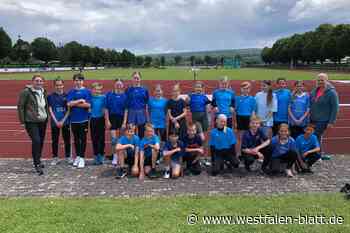 Gymnasium Steinheim holt Titel bei Schulkreismeisterschaften