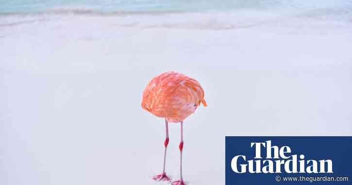 Photographer takes on the machines in AI competition – and wins