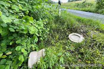Nach Sperrung noch mehr Müll im Straßengraben