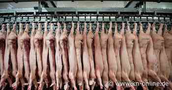 Vion-Schlachthöfe in Deutschland: Unternehmen erwägt Verkauf der Standorte