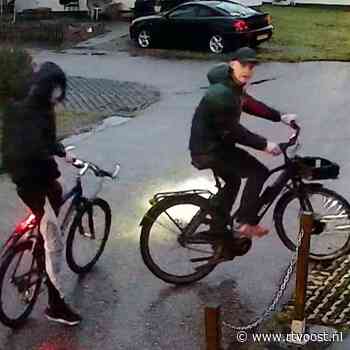 Jongens trekken spoor van vernielingen in dit attractiepark met golfkar