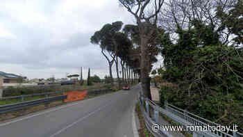 Grosso ramo si spezza e colpisce auto in transito