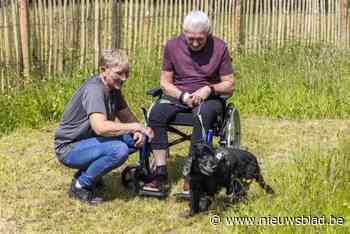 Omdat je ook in het ziekenhuis je hond, kat of cavia mist: ZOL maakt ontmoetingsplek voor huisdier en patiënt