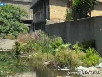 Arriva col monopattino, poi il nigeriano massacra e violenta una donna