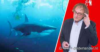 Ik kijk graag naar films waarin een haai tekeergaat