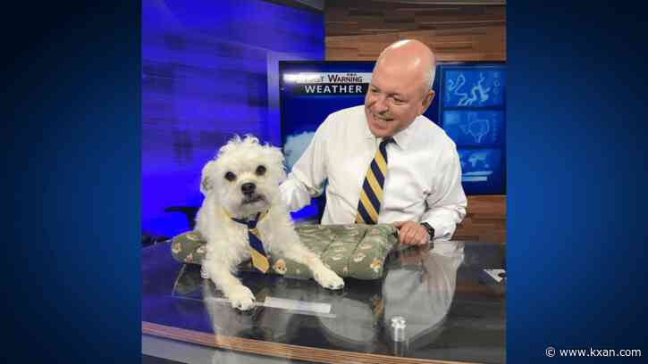 Garden dedicated to KXAN station mascot, Kaxan