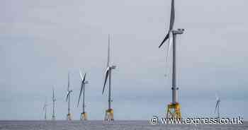 British Gas and Lego owners back £300m energy storage group fund raising