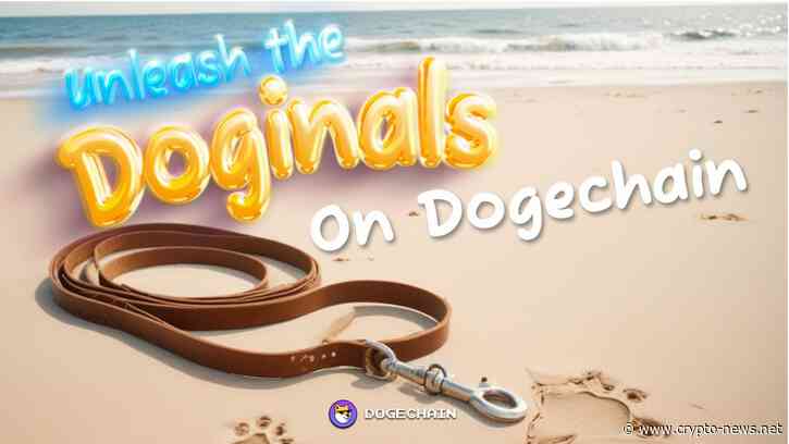 Dogechain’s PawPort: The Game-Changer Dogecoin Needed?