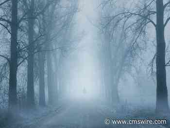 Foggy Figures: Seeing Beyond Marketing Attribution's Mirage