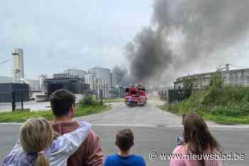 Eigenaars “enorm aangedaan” na zware industriebrand: “Bedrijf is volledig naar de vaantjes, er valt niets meer te redden”