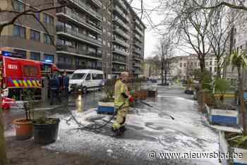 Verdachte aangehouden na dodelijke afrekening in drugsmilieu: nog geen spoor van twee andere verdachten