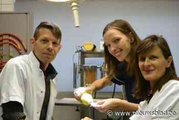 Stad Lier schakelt tweede dierenartspraktijk in voor zwerfkattenbeleid