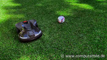 So sieht der Torjubel von Mährobotern zur EM 2024 aus