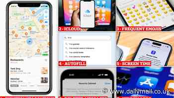 Revealed: The 7 ways your iPhone can expose you as a cheater - as an unfaithful husband who arranged meetings with prostitutes via iMessages is caught out by his wife