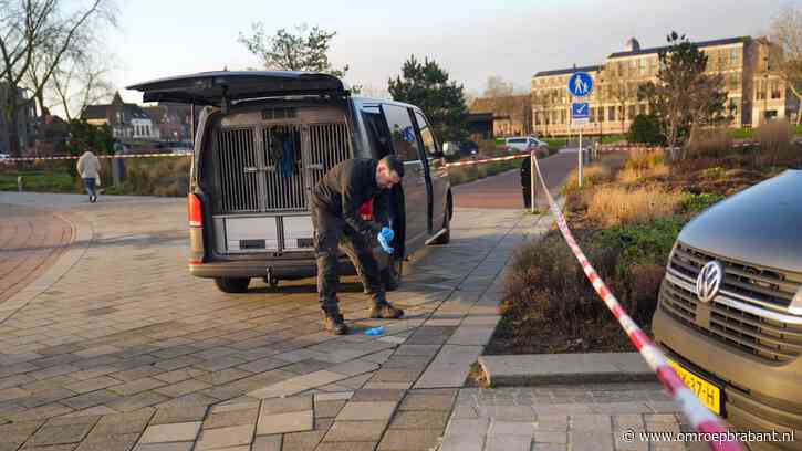 Ernstig zedenmisdrijf in park, 17-jarige jongen opnieuw opgepakt