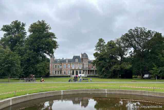 Ook tweede ‘leunende’ lindeboom geveld in park van Brasschaat