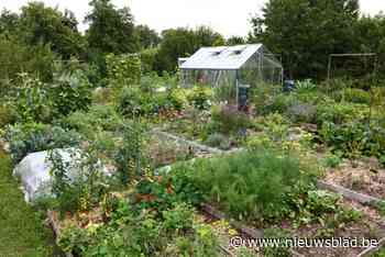 Tuinrangers geven lezing over permacultuur en eetbare planten