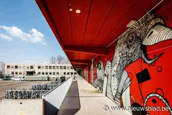 Rechter geeft agressieve Nederlander strengere straf dan gevorderd: “6 maanden effectief en 800 euro boete”