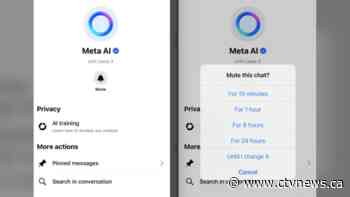 How Meta's AI systems are using your data and why opting out is not so simple