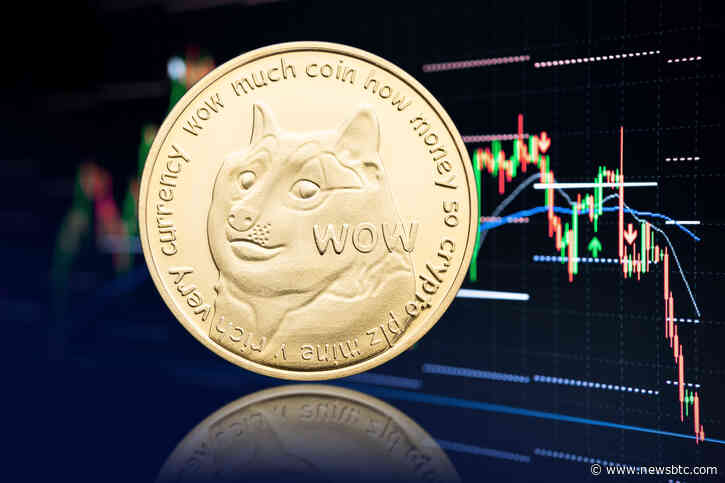 DOGE On The Move: Rebound To End 1-Day Bearish Move?