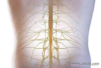 Animal Studies Suggest New Treatment Target for Spinal Cord Injury