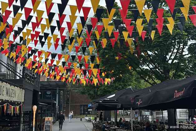 Daar is eindelijk de EK-gekte: Hasseltse Dusartplein versierd in Belgische kleuren