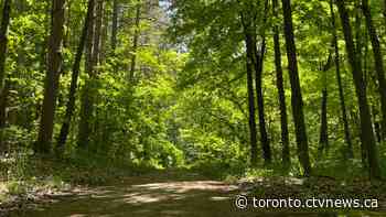 Ontario's newest provincial park will open on Canada Day