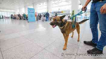 Zoekhondenteam naar Samos om vermiste Nederlander te vinden