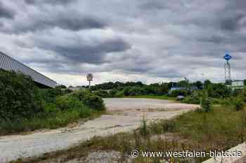 An der B7 in Warburg: Bald McDonald’s neben Burger King?