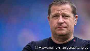 Verlängerung wohl in Arbeit: Bleibt dieses Duo beim FC Bayern?