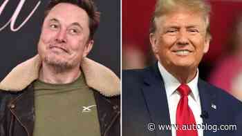 Elon Musk sure seems to be following Donald Trump's playbook