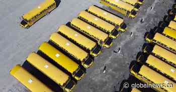 Union challenges report that N.B. school bus drivers failing licensing requirements