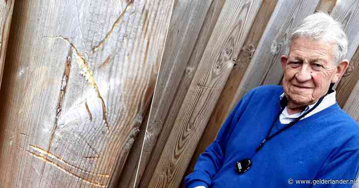 Wolf zet wijk op stelten en laat bloed- en klauwensporen achter: ‘Hij ging bijna door mijn ruit’