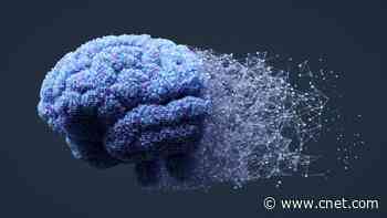 I've Been Reviewing AI Chatbots for 4 Months and They've Rewired My Brain     - CNET