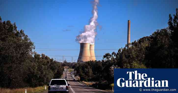 Germany’s top climate envoy says ‘this is the critical decade’ after Dutton ditches 2030 target