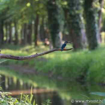 Giftige HCH ook in Bolscherbeek: "Laat er geen honden in zwemmen"