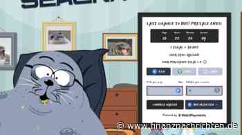 Trader verwandelt 780 Dollar in 3 Tagen in 267.000 Dollar: Diese Coins hat er gekauft