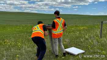 Hailstorm researchers aiming to take a dent out of pricey insurance claims