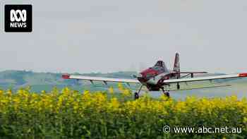 Yabby exporter fears change to aerial spraying rules may kill her crustaceans