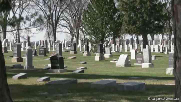 City providing free daisies for Lethbridge to celebrate loved ones on Father’s Day