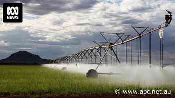 WA farmers rely on Rio Tinto for one crucial resource that's suddenly been cut by half