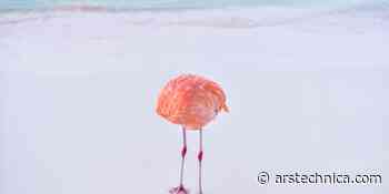 AI Photography Conest Falls Apart When Winner Is Revealed To Be Human