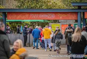 Chester Zoo confirms it will be closing its aquarium next year