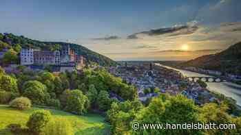 Trendviertel 2024 : Trendwende in der Metropolregion Heidelberg? Die Kaufpreise stabilisieren sich