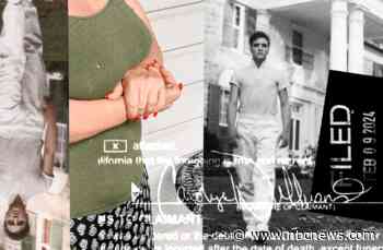 Who was behind the plot to steal Graceland?