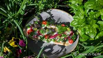 Neue Generation von Pächtern: Vereinslokale mit neuem Charme - Fine-Dining im Schrebergarten