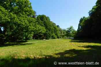 Terrassenplätze mit Blick aufs Wasser