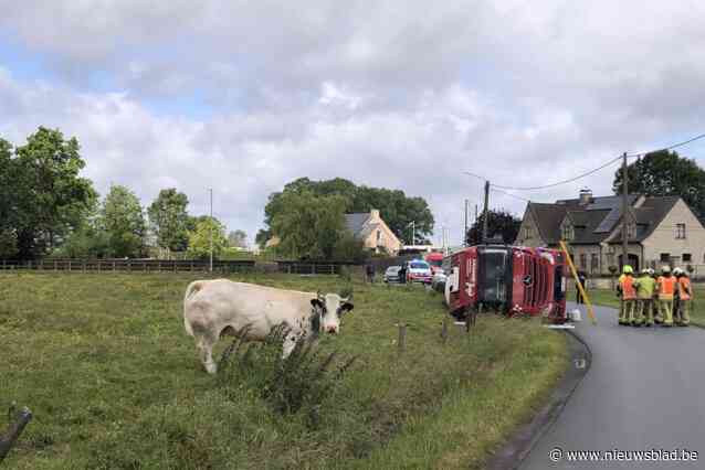 Trucker gekneld in cabine