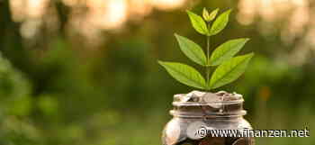 3 % auf das Tagesgeld der UmweltBank: Hier gibt es die höchsten grünen Zinsen